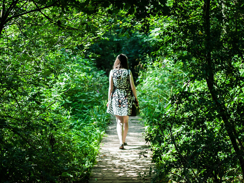 walking-in-the-woods